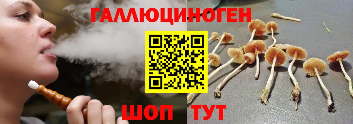 Псилоцибиновые грибы GOLDEN TEACHER Ишим